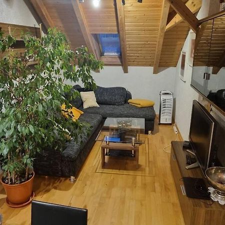 Gemuetliche Dachgeschosswohnung Erfurt Exteriér fotografie