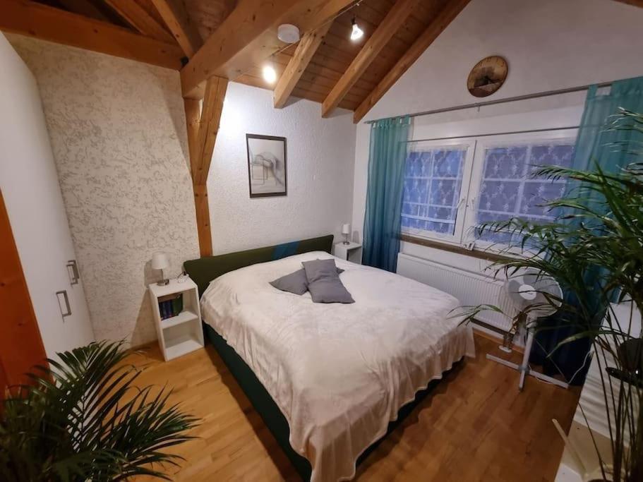 Gemuetliche Dachgeschosswohnung Erfurt Exteriér fotografie
